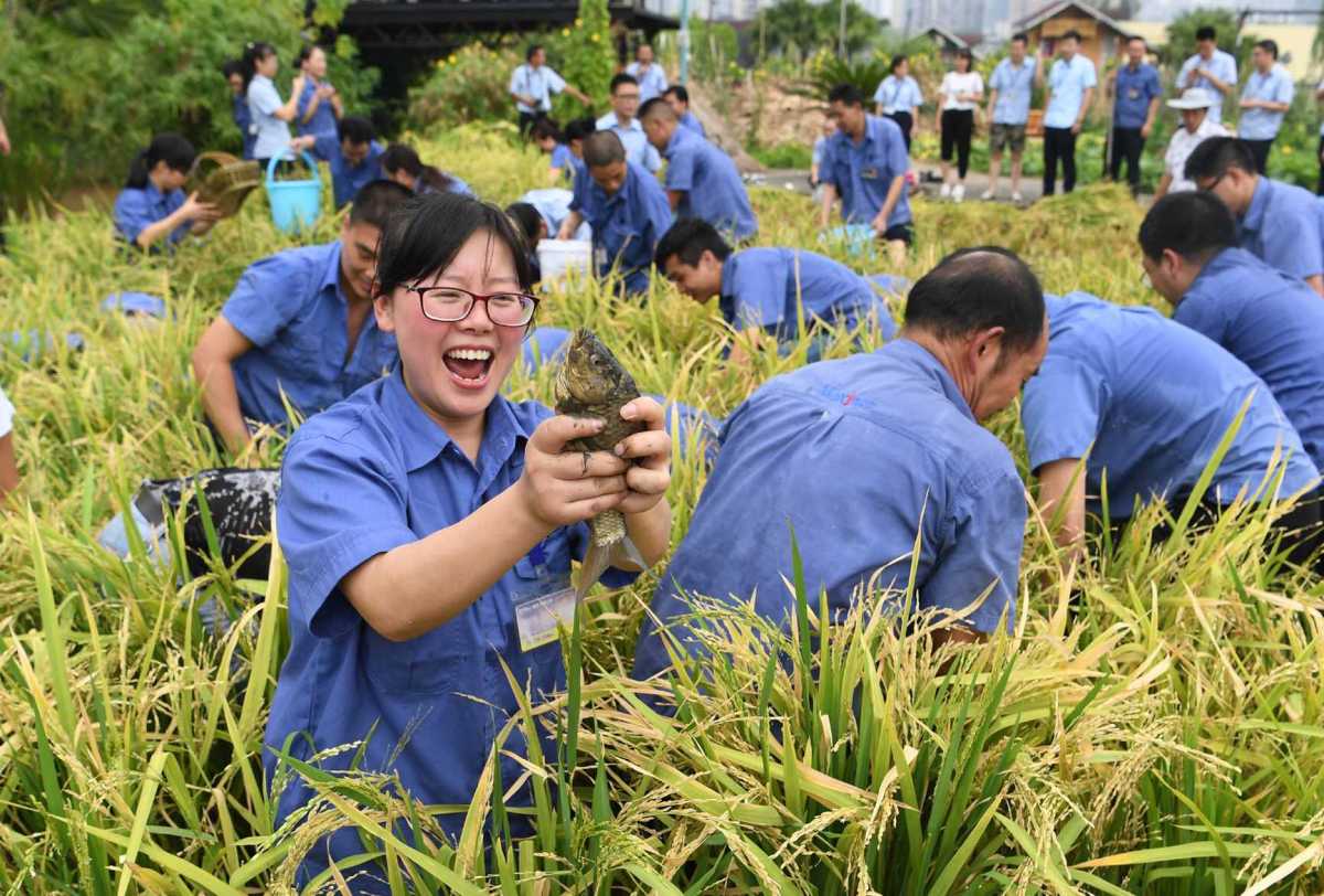 Farmers-are-happy-and-busy-with-hartvest-on-a-rooftop-farmland-in-Chongqing-China