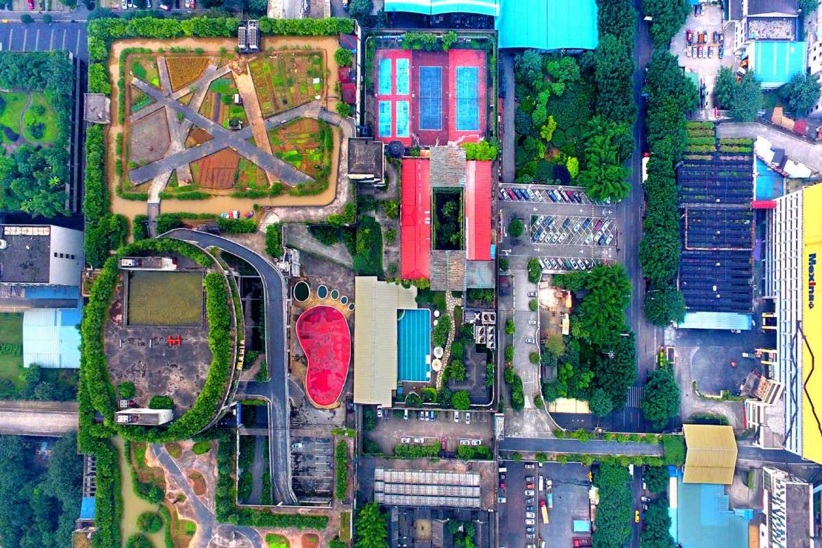 birds-eye-view-of-the-rooftop-farmland-in-Chongqing-China