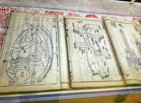 Explore the Mystery of Traditional Chinese Medicine in Chongqing's Folk TCM Museum