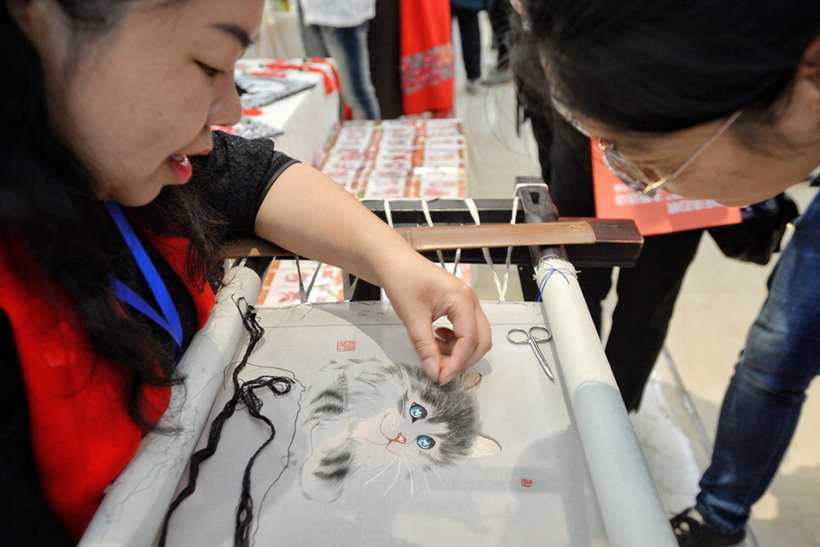A visitor is watching Shan embroidering a vivid cat.