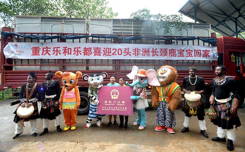 African-Animals-Settle-Down-in-Chongqing-mascot-worker