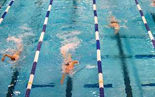 The Chinese National Diving Championship Will Kick off This Week