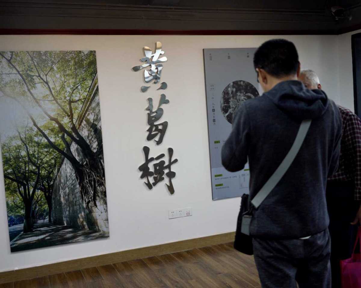 Ficus-Virens-Impresses-Everyone-in-Chognqing-image-exhibition