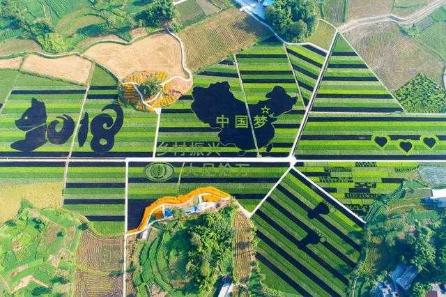 Digital Twin Platform Realizes Unmanned Agricultural Operations
