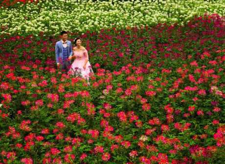 How Do Chongqing People Celebrate The Double Ninth Festival?