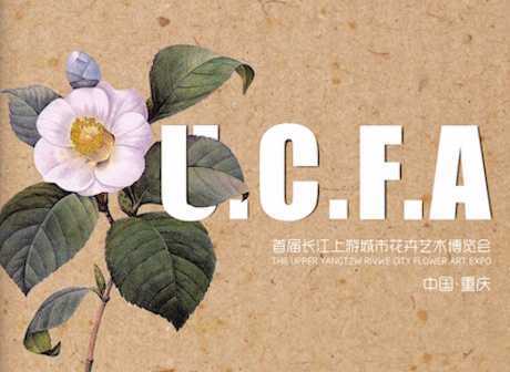 Upcoming Events in Chongqing