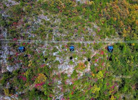 Red Leaf and Green Water Capture the Beauty of Chongqing