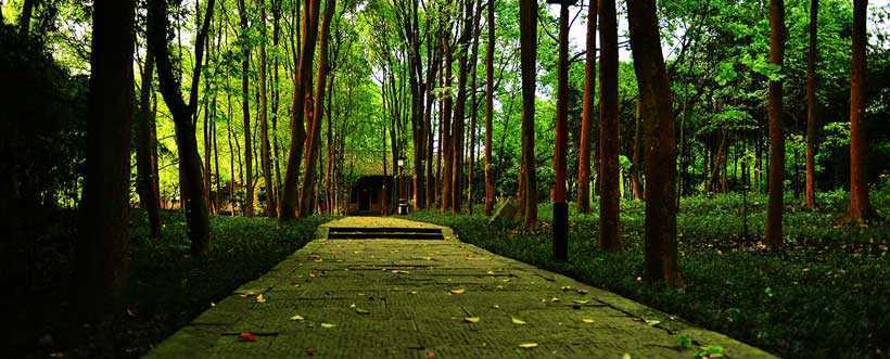 Diaoyu-Fortress-alley