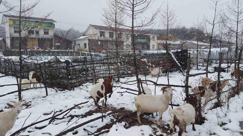 ice-wuxi-hongchiba