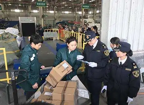 The China Railway Express (Chongqing) Makes a Breakthrough in Import Post-Delivery
