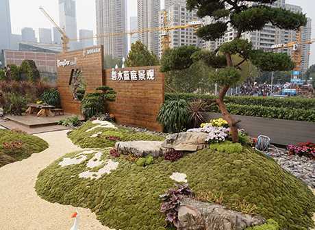 Chongqing Will Build The Largest Ecological Science-Popularization Thematic Park in China
