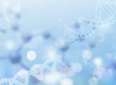 Chongqing Will Establish a Genetic and Cellular Transformation Platform With Pall