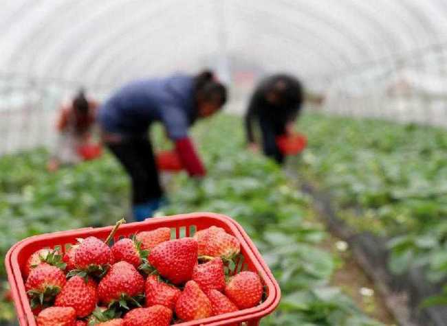 Chongqing Cultural Tourism Consumption Season Starts with Gift Packs 10 Million