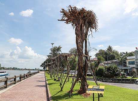 Chongqing-Krabi Non-Stop Air Route is Open!