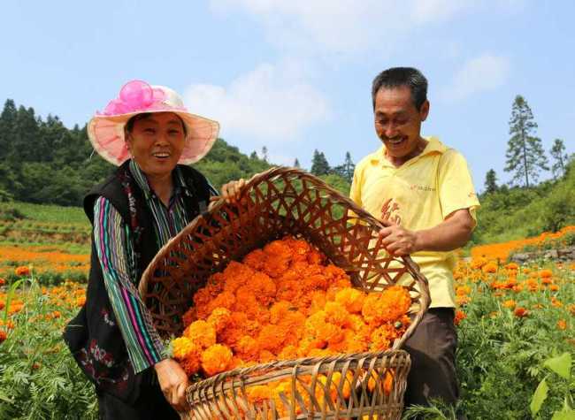 Chongqing Expects to Attract over 200 Million Tourists in Farm and Rural Tourism