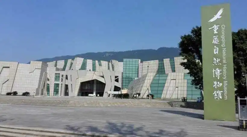 family-Chongqing-Natural-History-Museum