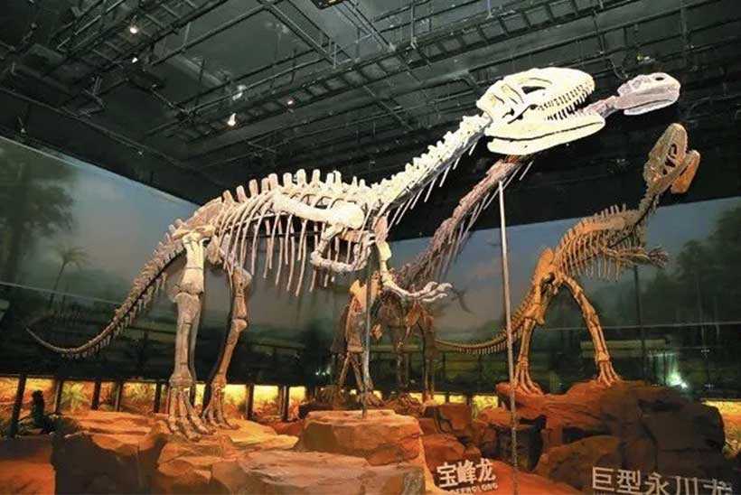 family-dinosaur-fossil