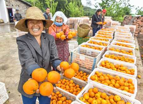 Recommended Routes to Have Folk Spring Festival Tours