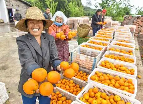 Recommended Routes to Have Folk Spring Festival Tours