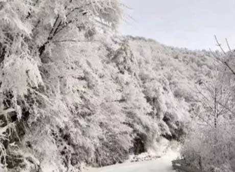 Come and Have Fun at the Best Ski Resorts in Chongqing