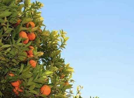 Chongqing Qijiang Prepares Perfect Winter Trips for You!