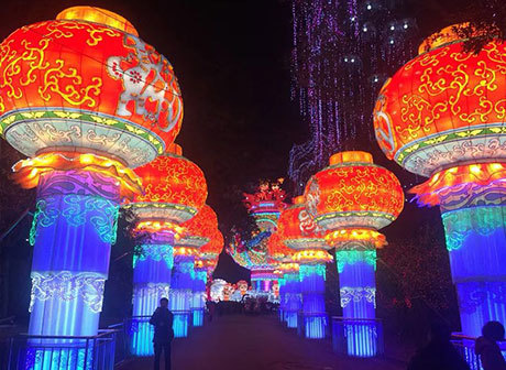 The Lantern Festival  to Celebrate Chinese New Year