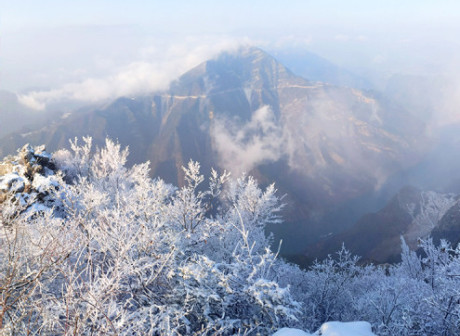 Chongqing Enjoys a Wonderland of Snow