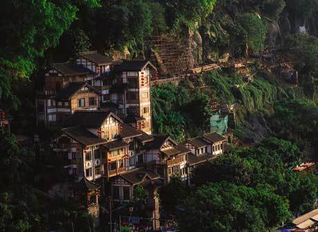 Three-Day Nature Tour of Chongqing