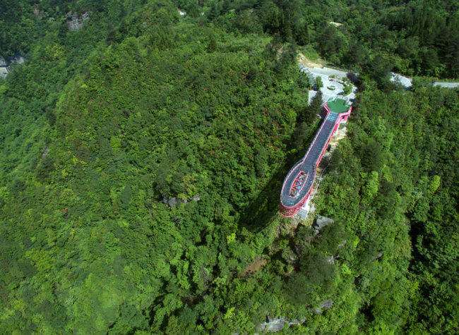 Investment of RMB 19 Billion for Chongqing to Build National Reserve Forest Base