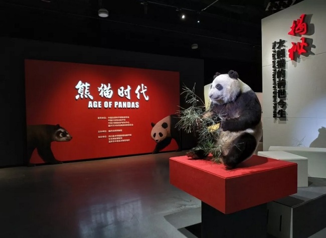 Exhibition: Age of Pandas - the Past and Present of Giant Pandas