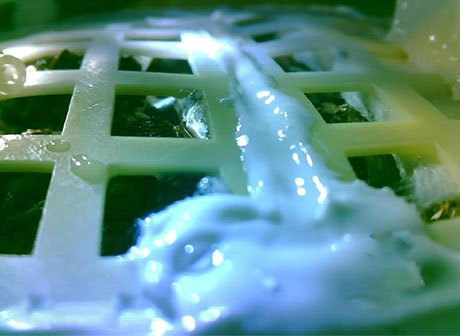 Story Behind the First Bud Sprouting on the Moon