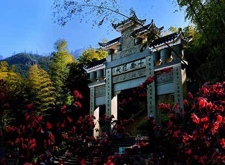 Chongqing Yongchuan Chashan Zhuhai (Tea Mountain and Bamboo Forest)