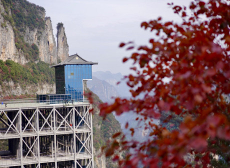 Chongqing Wushan Obtains RMB 180 Million in Tourism Revenue for Its Red Leaf Festival