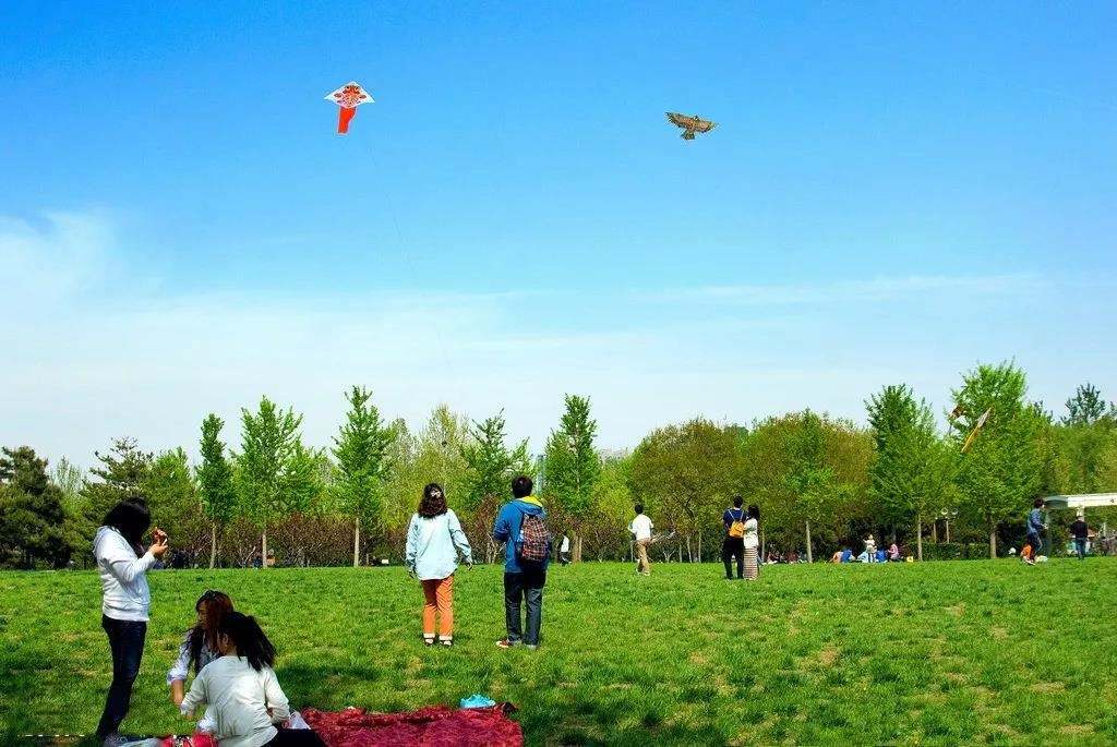 Enjoy Kite Flying in Spring | ichongqing