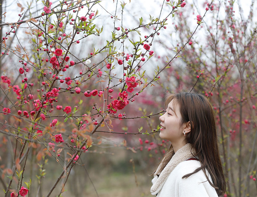 Cherry-Blossom-girl