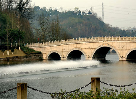 Chinese New Year: Feel Festival Vibes in Chongqing Expo Garden