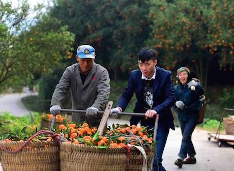 2019 Three Gorges Citrus Fruit International Trade Fair to Open in Chongqing Wanzhou This Month