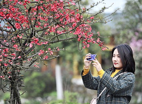 It's the Right Time to Immerse Yourself in the Sea of Flowers