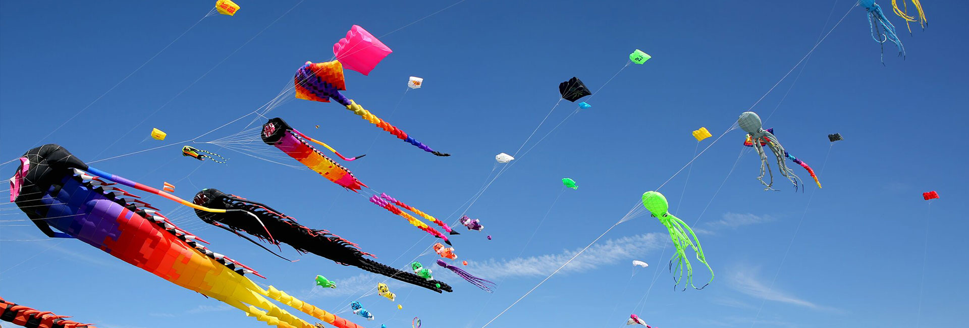 Enjoy Kite Flying in Spring | ichongqing