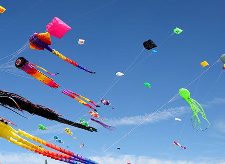 Enjoy Kite Flying in Spring