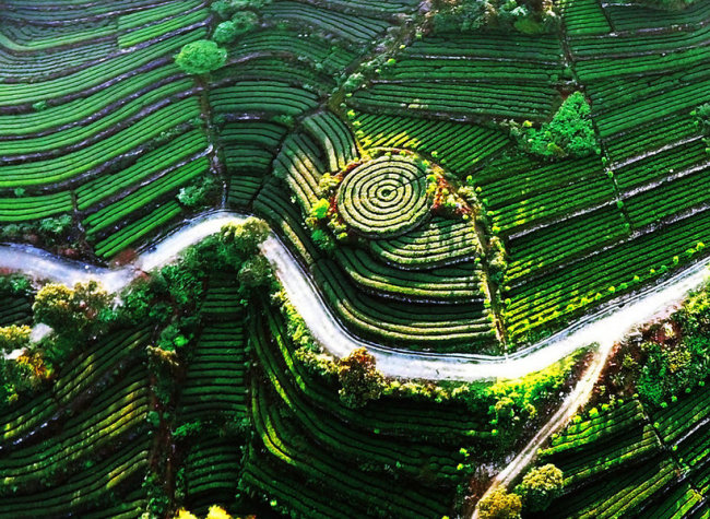 It's Time to Enjoy Rural Tourism in Spring