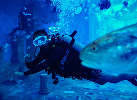 He Created the Deep-Sea Pool to Dive Underwater in the Southwest of China