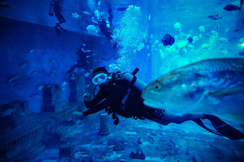 underwater-diving