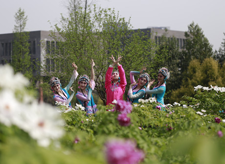 Shapingba District: 30,000 tulip bulbs from the Netherlands is blooming