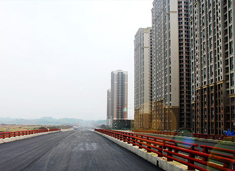 Italian Company Invests in 46 Enterprises in Chongqing