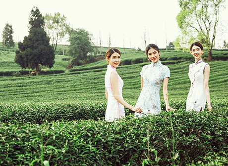 Come with Winners of