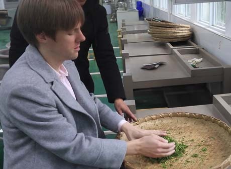 A Tea Adventure in Yongchuan Chongqing