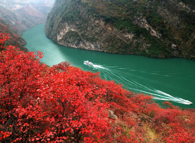 Chongqing Showcase Brought Wushan County to a Wider Audience