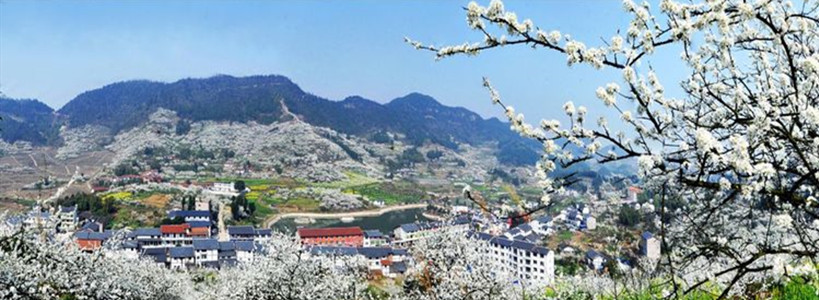 Yubei-district-Yinhe-Village