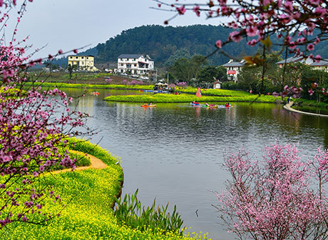 Spring Activities in Chongqing Banan Are Waiting for You